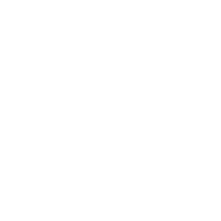 價(jià)格優(yōu)勢與技術(shù)支持